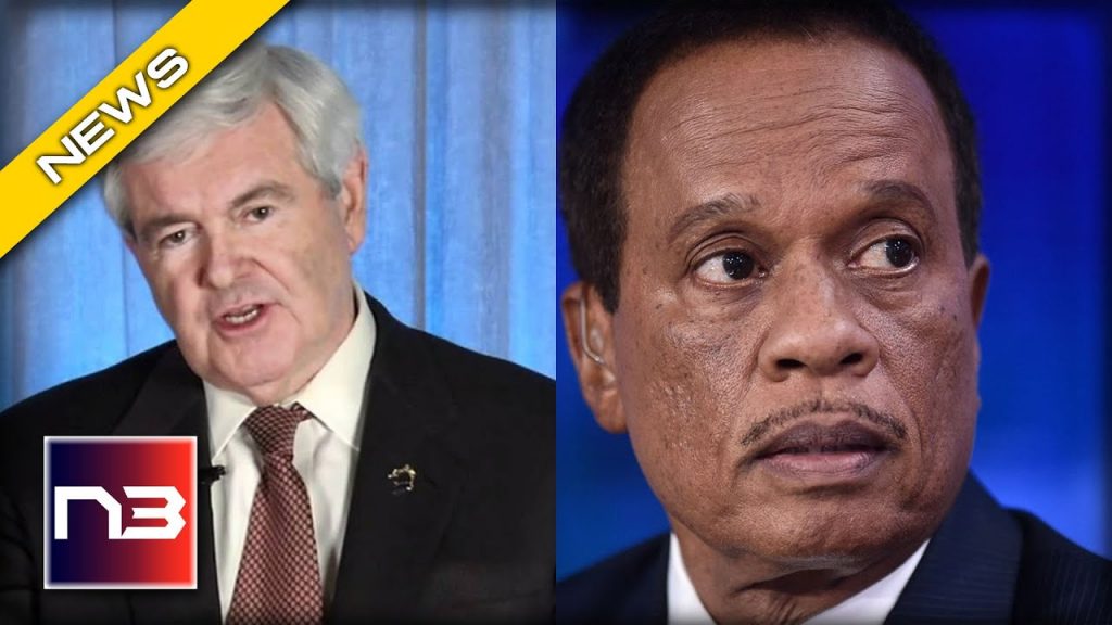 Newt Gingrich Takes On Biggest Biden Family Apologist In Juan William