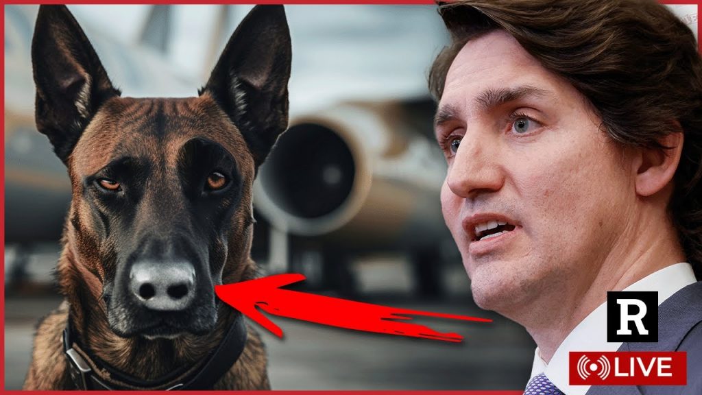 BREAKING! Trudeau to Resign in Canada? Emergency meeting of parliament | Redacted w Clayton Morris BREAKING! Trudeau to Resign in Canada? Emergency meeting of parliament | Redacted w Clayton Morris