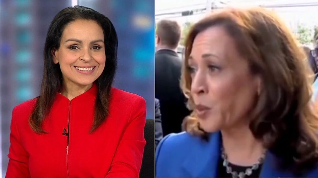 Lefties losing it: Kamala tries to speak without an autocue