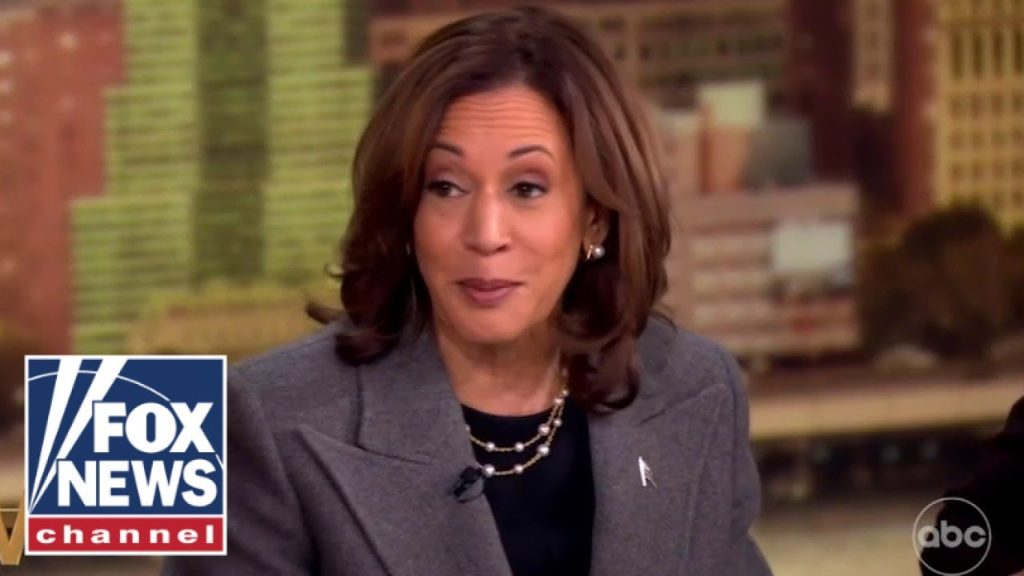 VP Harris roasted for ‘wholly tone-deaf’ ‘View’ appearance VP Harris roasted for ‘wholly tone-deaf’ ‘View’ appearance