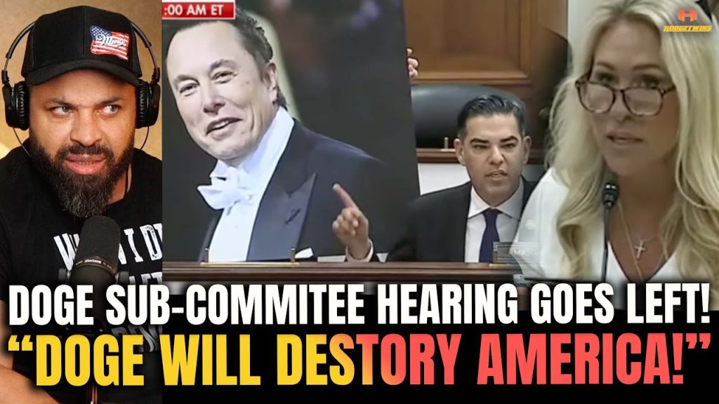 Democrats MELTDOWN and Chaos ERUPTS during 1st Congress DOGE Hearing!