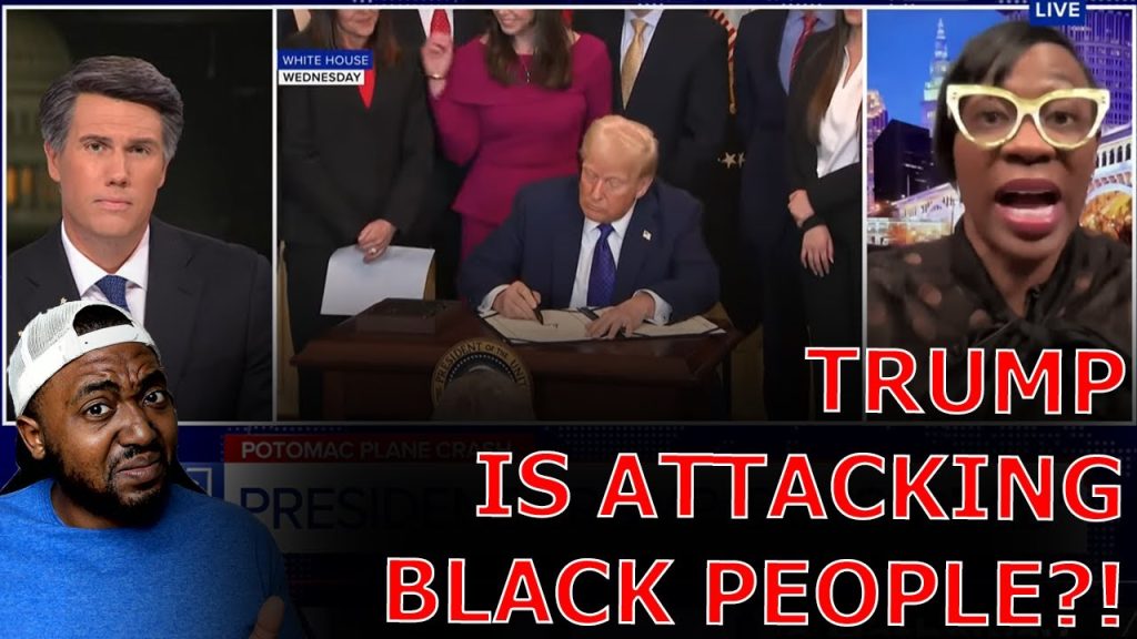 News Anchor SCHOOLS WOKE Race Hustler Claiming Trump DISMANTLING DEI Is ATTACKING Black People!