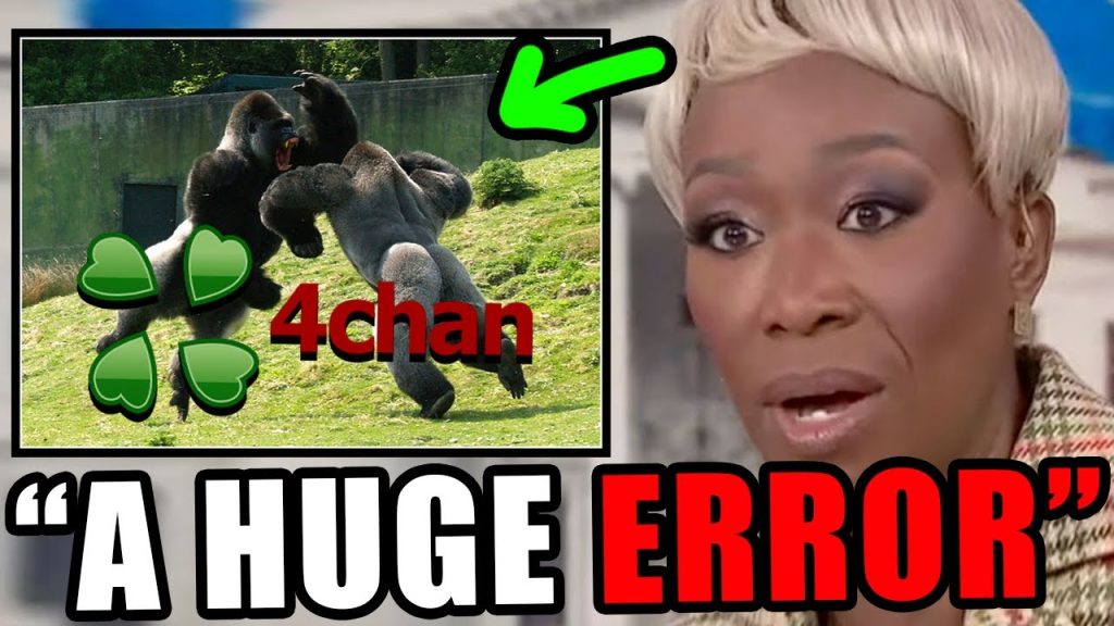 MSNBC falls for obvious 4CHAN MEME