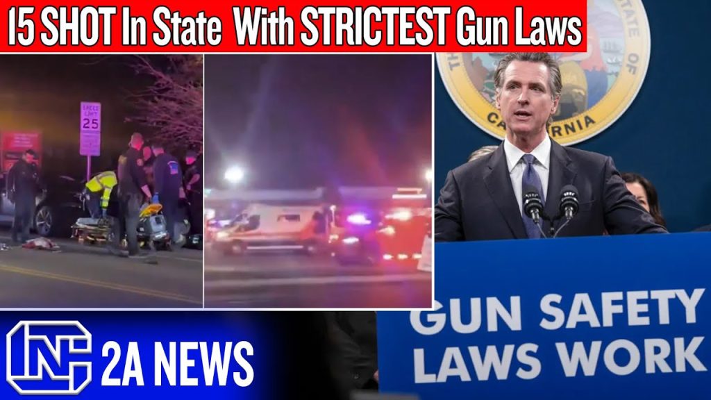 A CHILDREN’S Birthday Party Mass Shooting… in the State With EVERY Gun Law