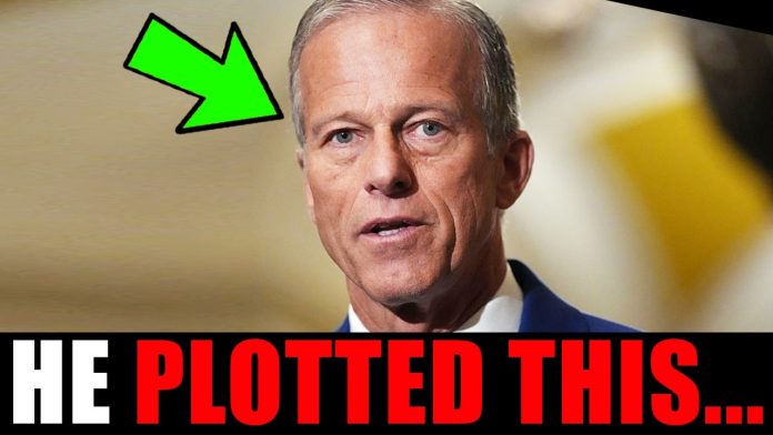 John Thune just BETRAYED YOU.