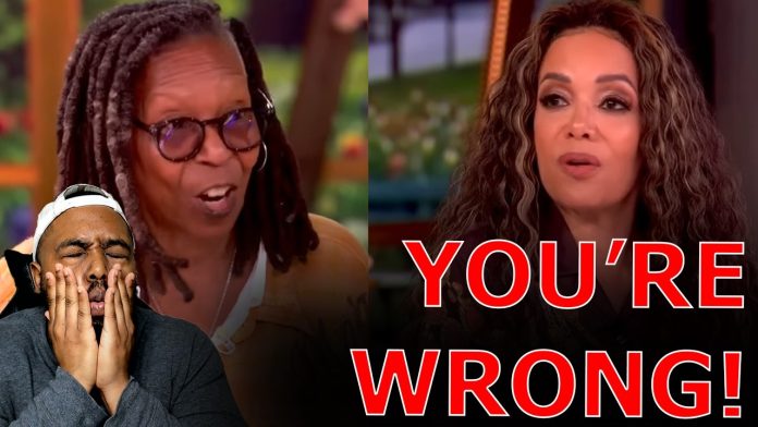 Whoopi Goldberg Issued HUMILIATING FACT CHECK From The View Co-Host During MELTDOWN Against Voter ID