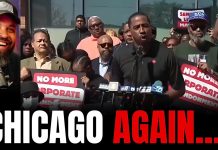 Chicago Walgreens SHUTS DOWN Due to Theft… What Happens Next Is Insane Chicago Walgreens SHUTS DOWN Due to Theft… What Happens Next Is Insane