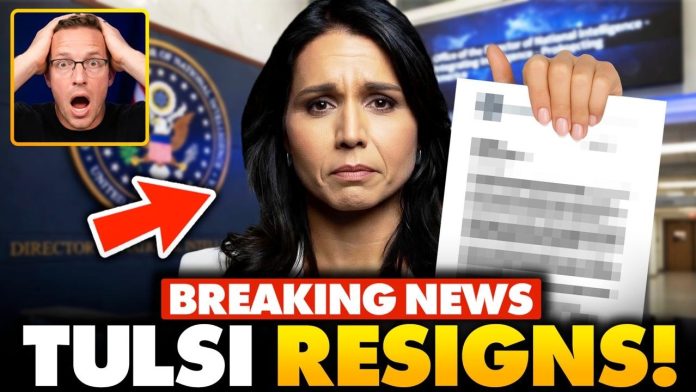 🚨Tulsi Gabbard RESIGNS: Her Explanation Why Leaves Trump Admin in Shock...